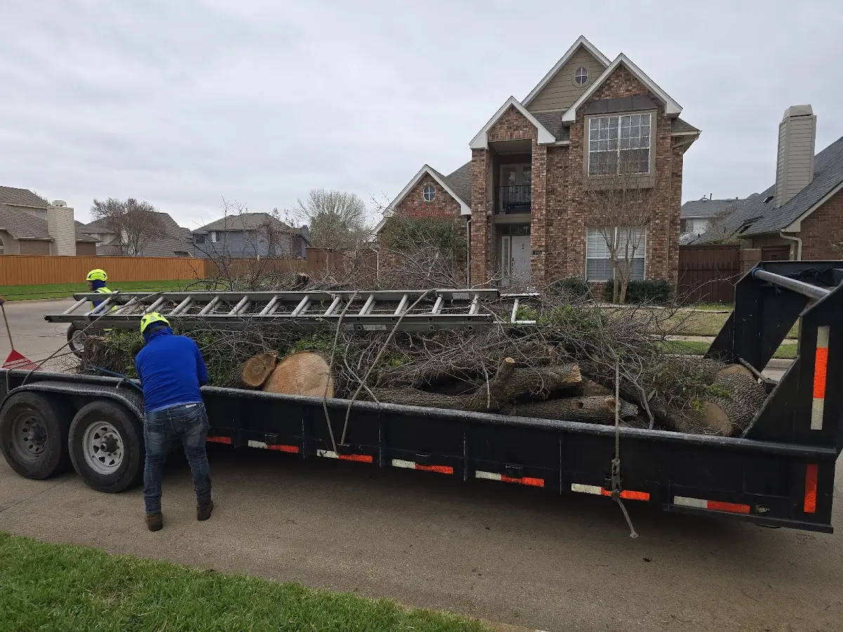 Expert Lot Clearing with proper safety equipment in Sewaren
